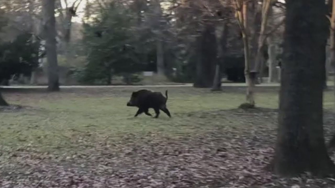 az oszi teli honapokban meg gyak