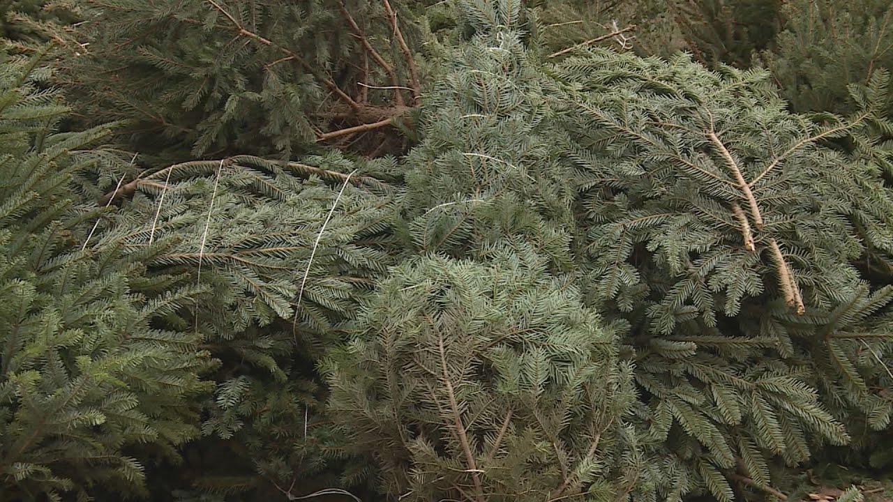 a vartanal kisebb mertekben drag