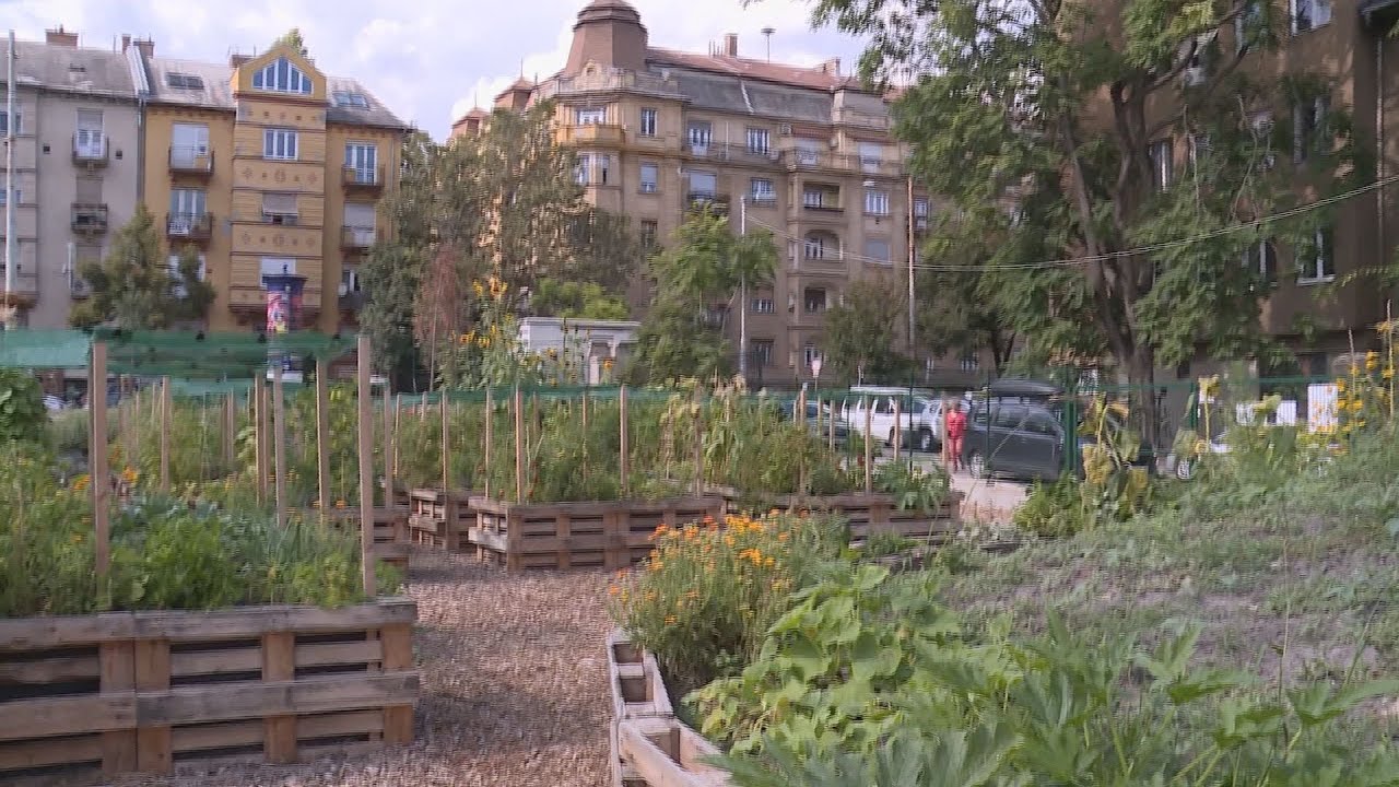 sikeres evet zart a boszormenyi