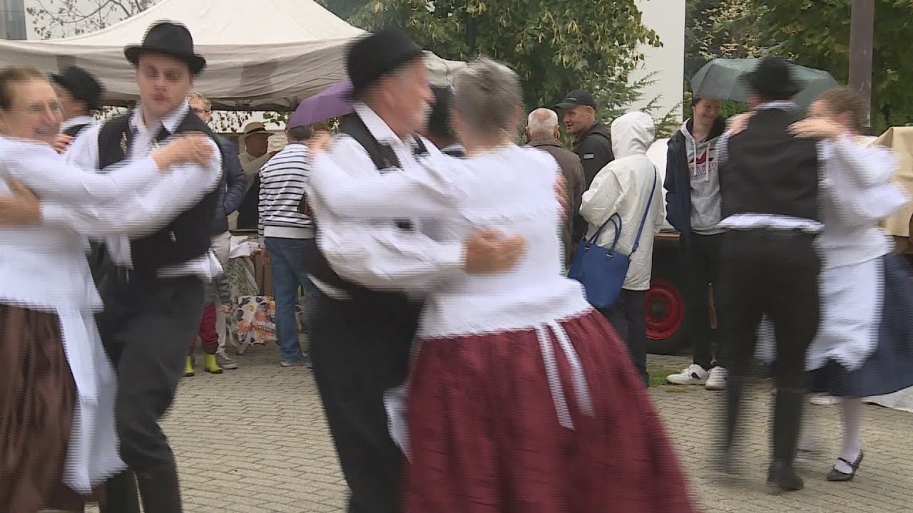 civil tamogatas osszesen 65 mill