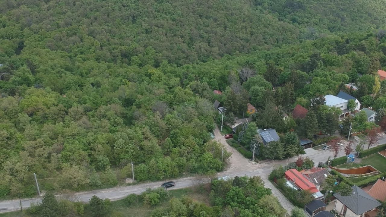 budai hirado 2024 marcius 20