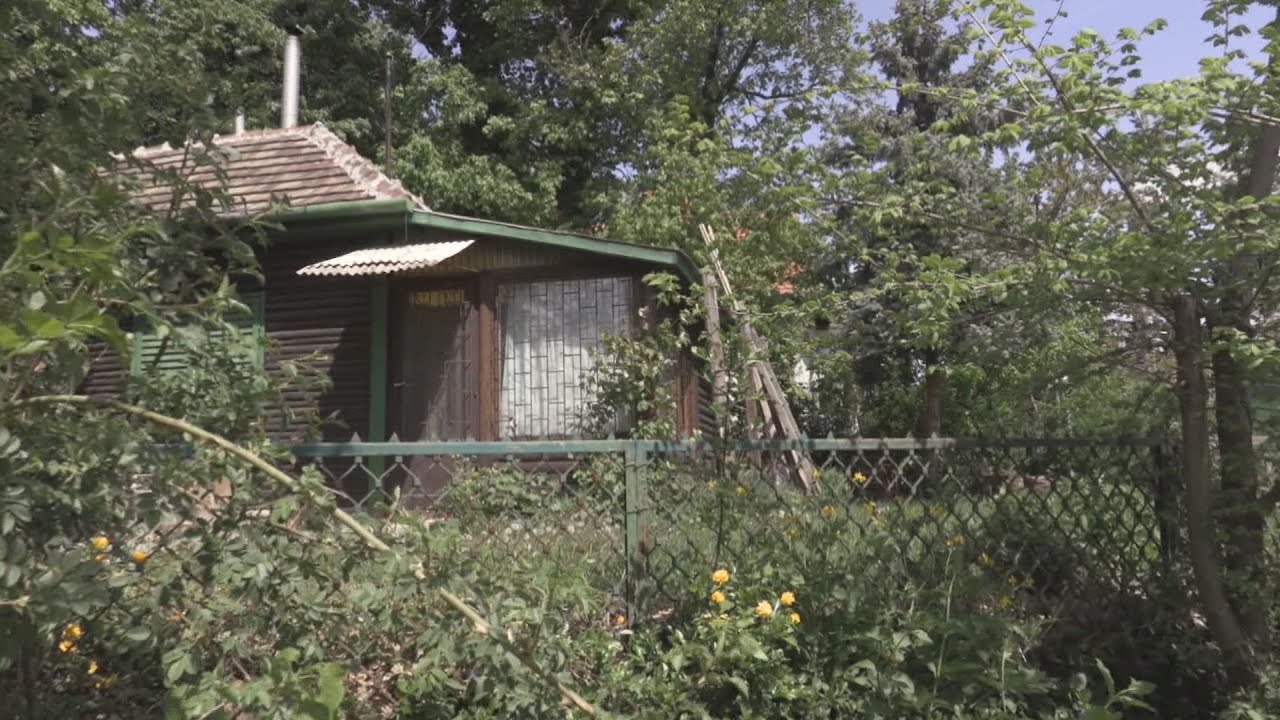 hamarosan rendezodhetnek a csill