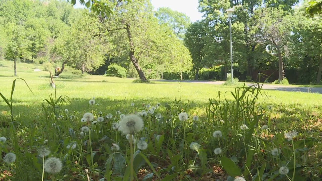 nehez honapok varnak az allergia