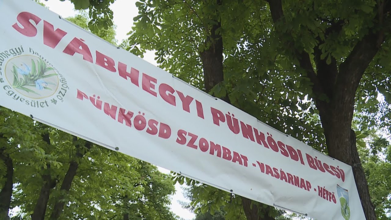 bucsu ma zarult a svabhegyi punk