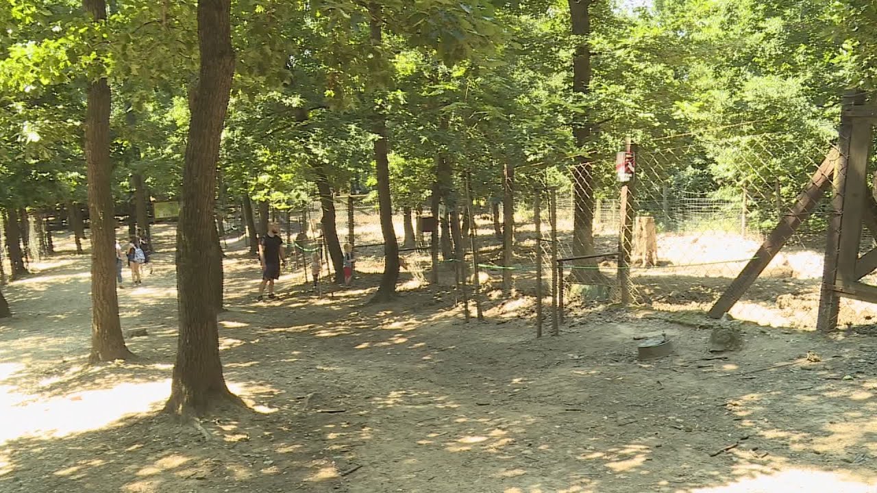 budai hirado 2024 majus 30