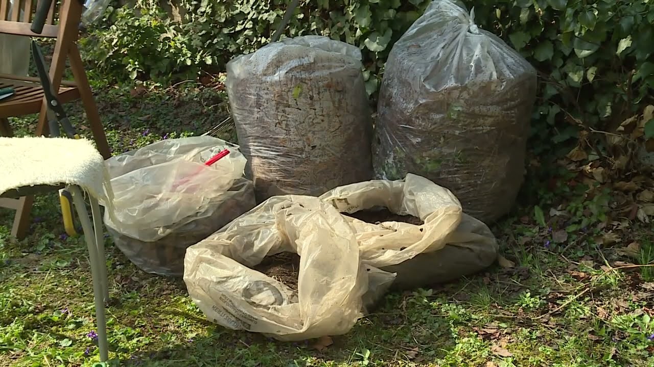osszel gyujtik csak a veszelyes