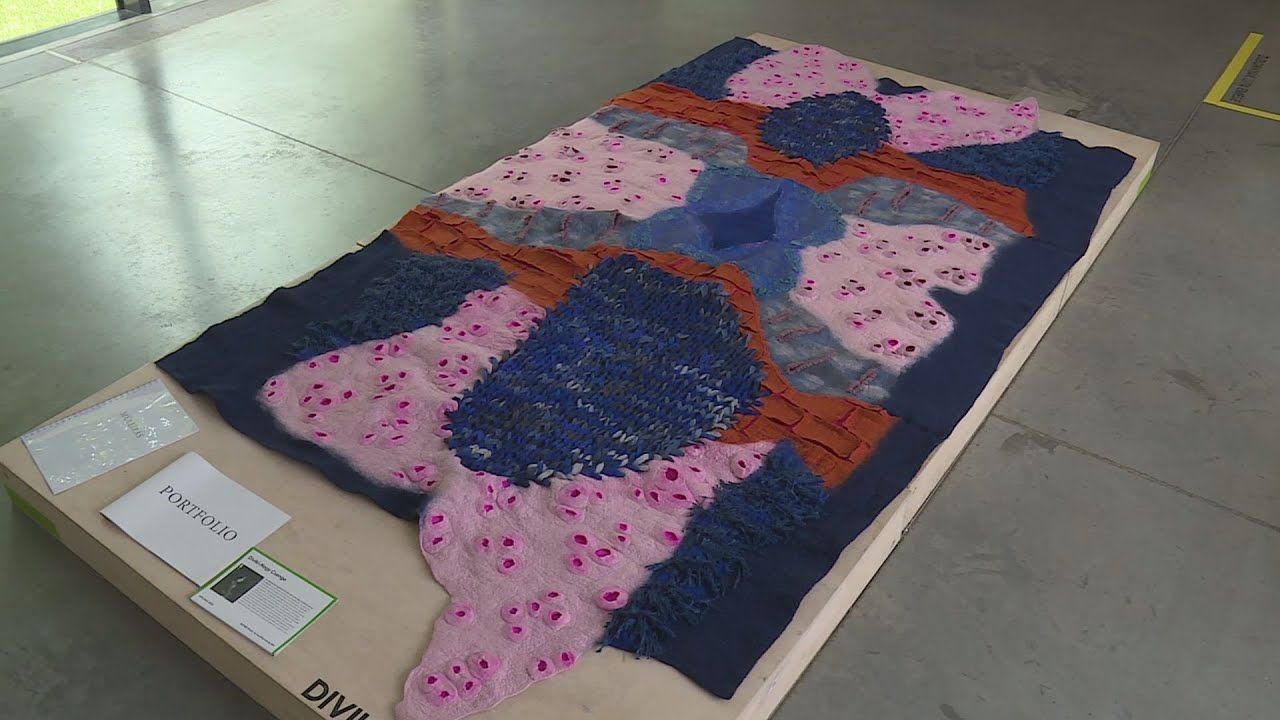 bemutattak a mome iden diplomazo