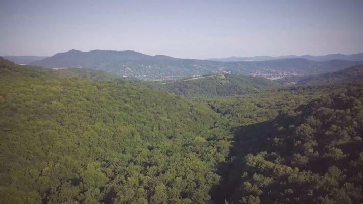 budai hirado 2024 junius 26