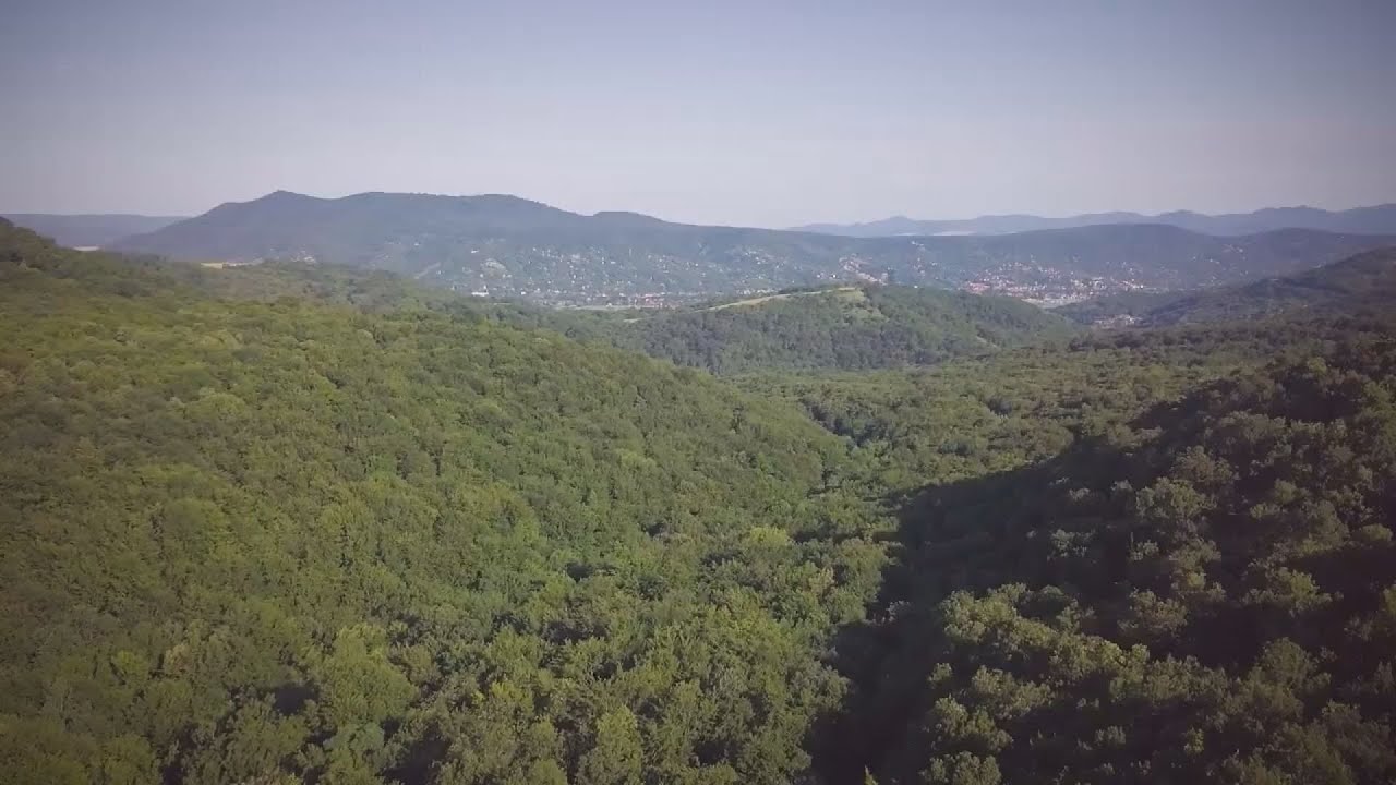 budai hirado 2024 junius 26