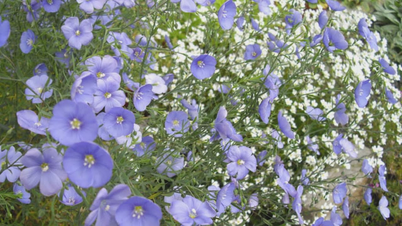 elkezdodott a termeszetbarat ker