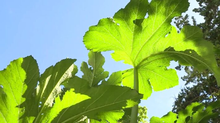 klimavaltozas a zold iroda a met