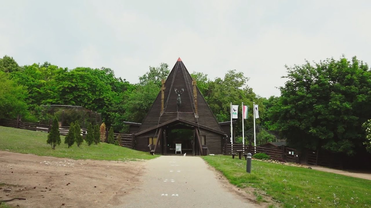 budai hirado 2024 augusztus 19