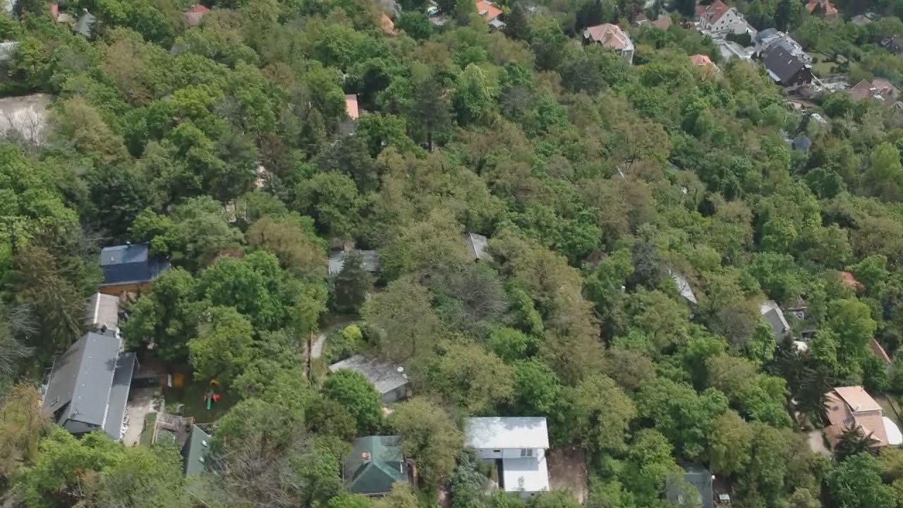 budai hirado 2024 augusztus 20