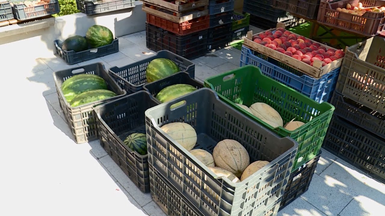 budai hirado 2024 augusztus 26