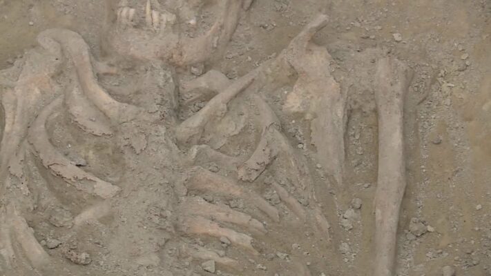 kulturpont 2024 julius 24