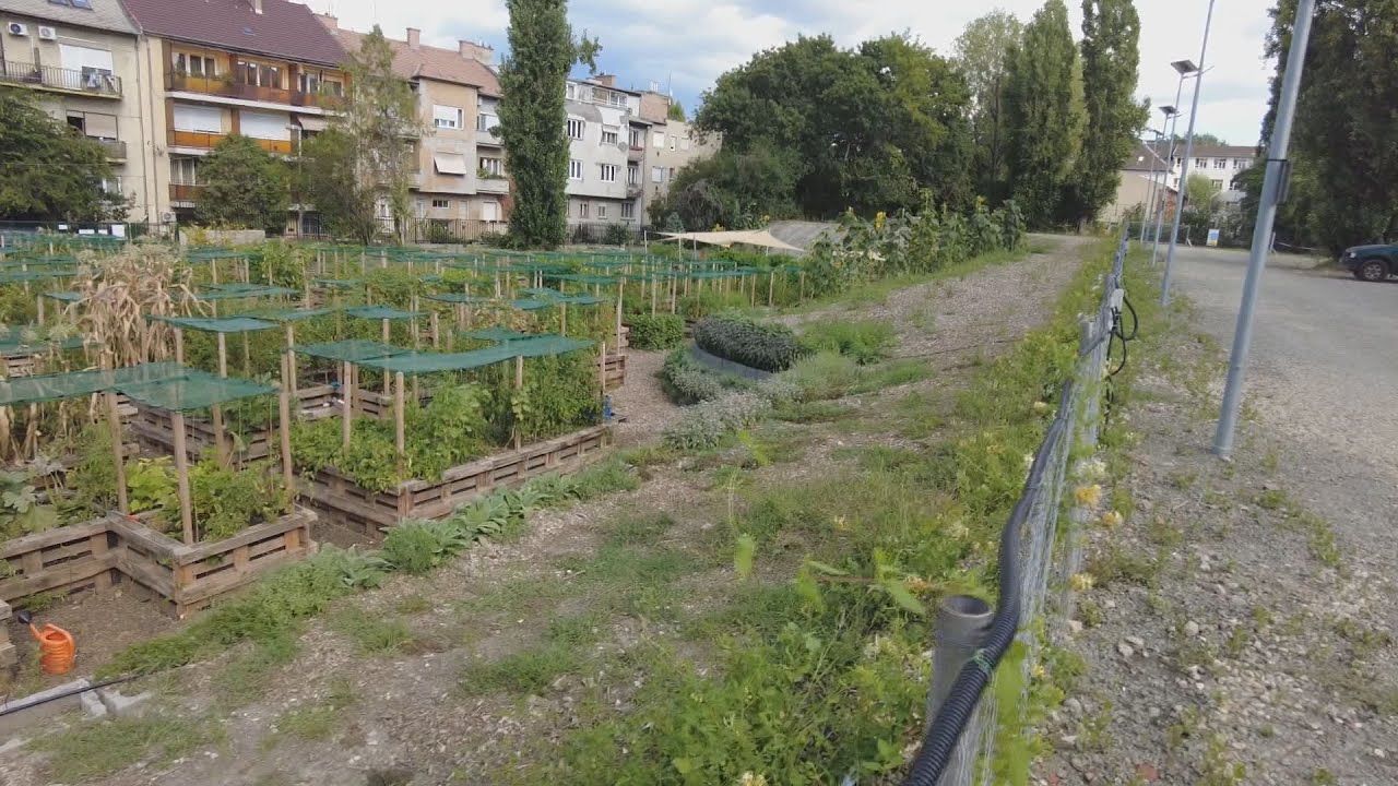 orszagos palyazaton vesz reszt a