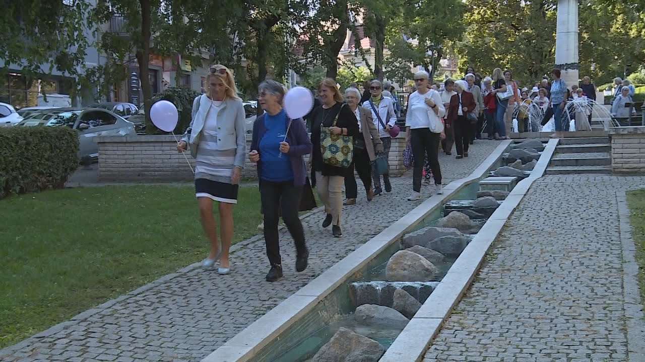 alzheimer seta a hegyvideken