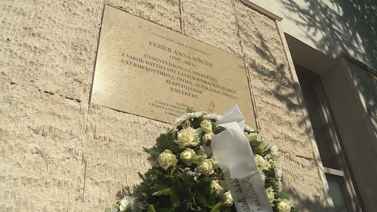 emlekezes anna noverre a svabheg