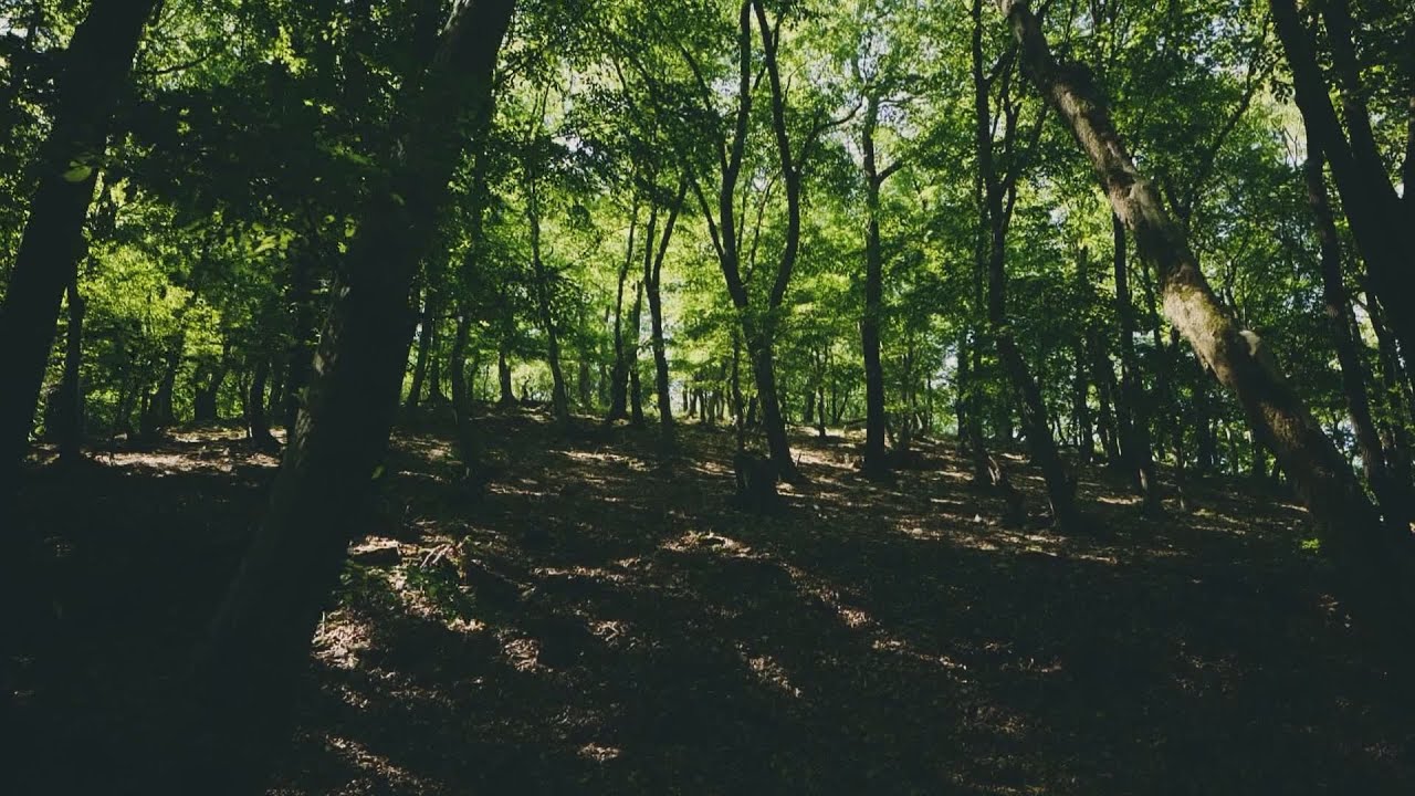 klimavaltozas a fovaros kornyeki