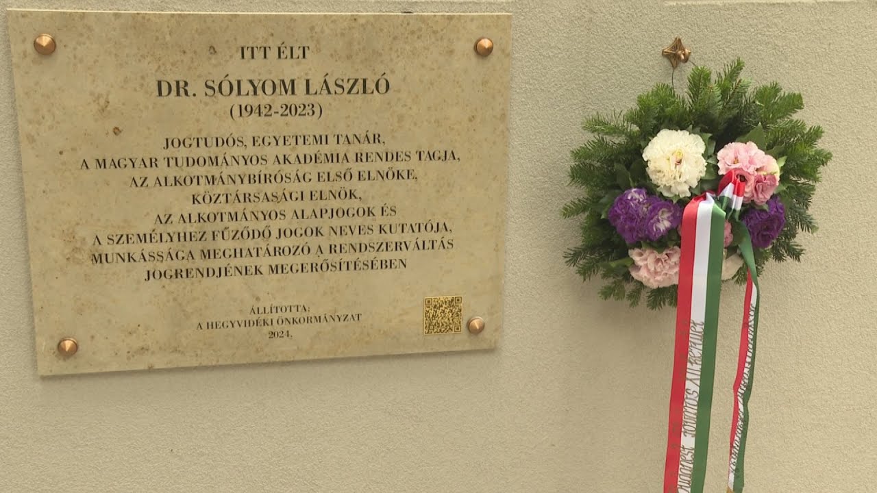 nyomot hagyott solyom laszlonak