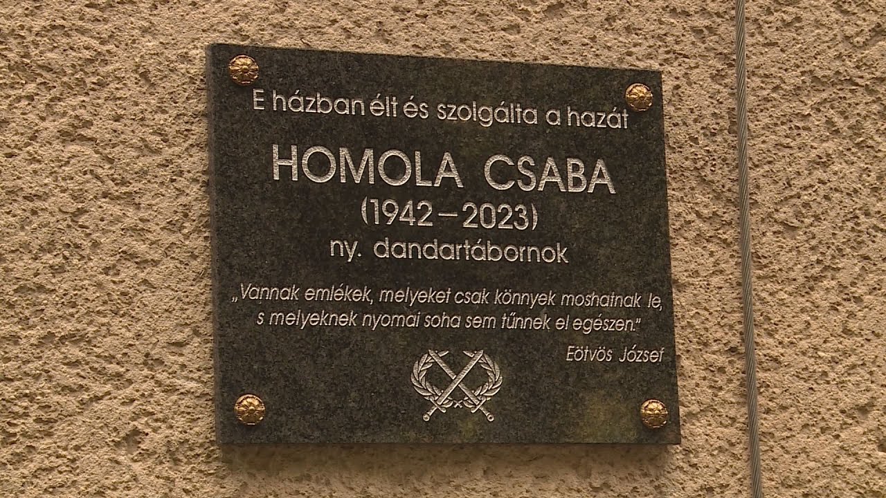 tablaavato nemzetkozi erdemeket