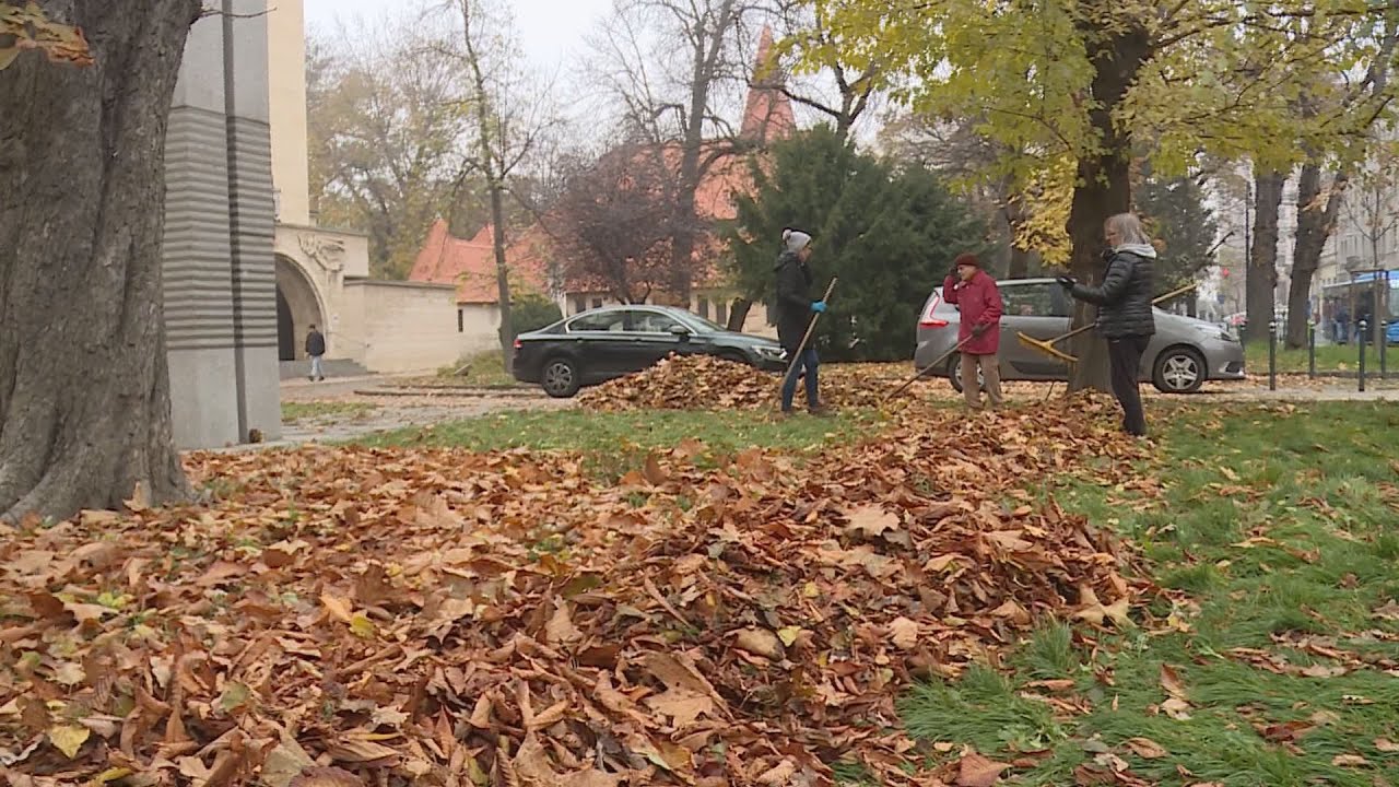 avargyujtes a varosmajorban civi