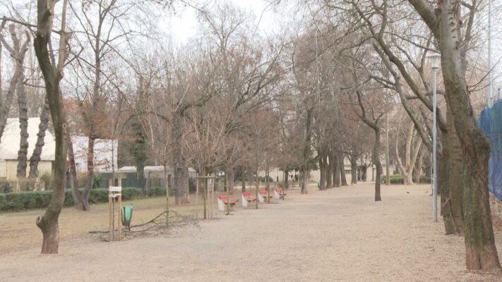 budai hirado 2024 november 19