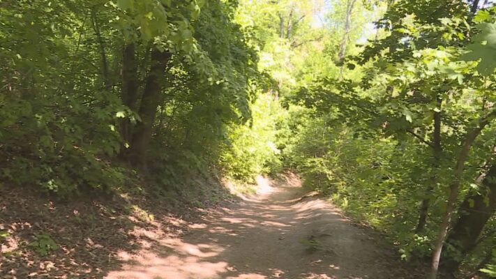 budai hirado 2024 november 20