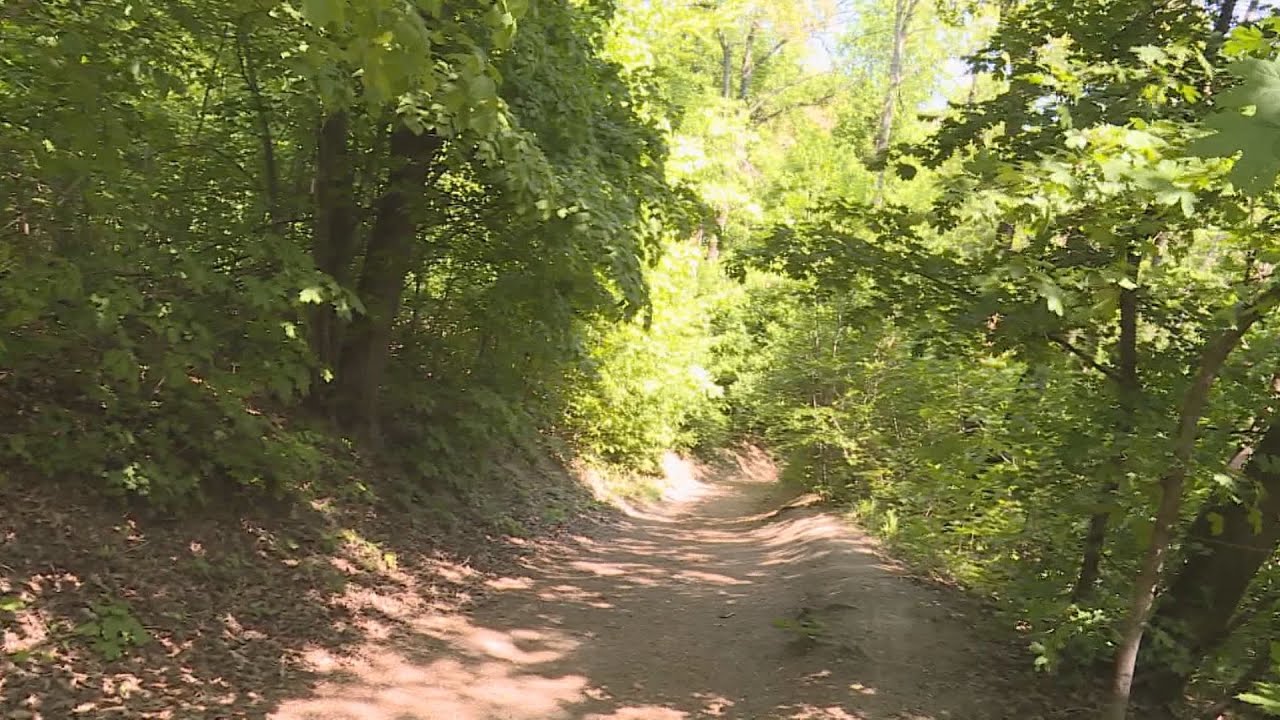 budai hirado 2024 november 20