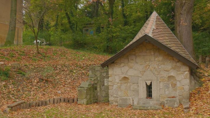 csurran cseppen a zold iroda min