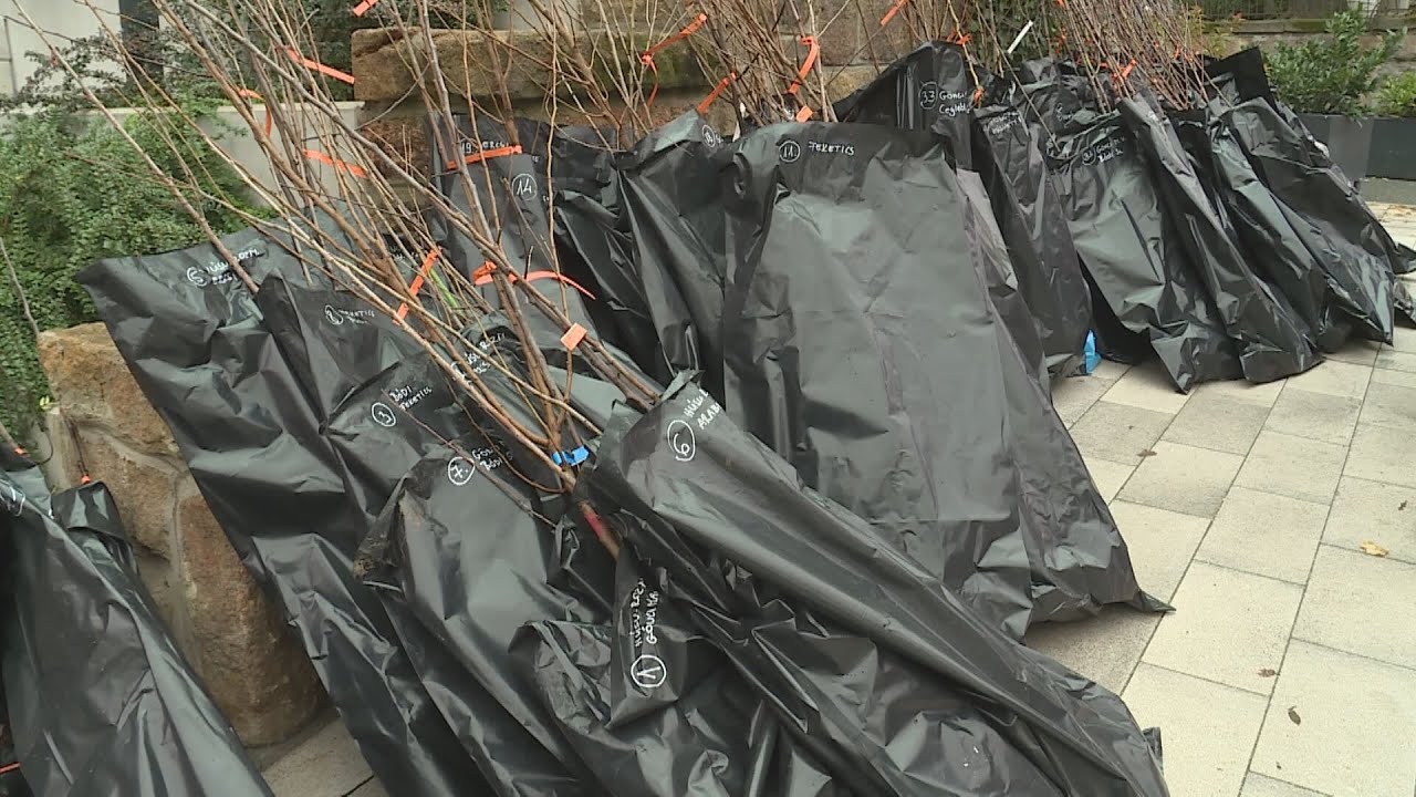 faosztas joval tobb mint 200 fac