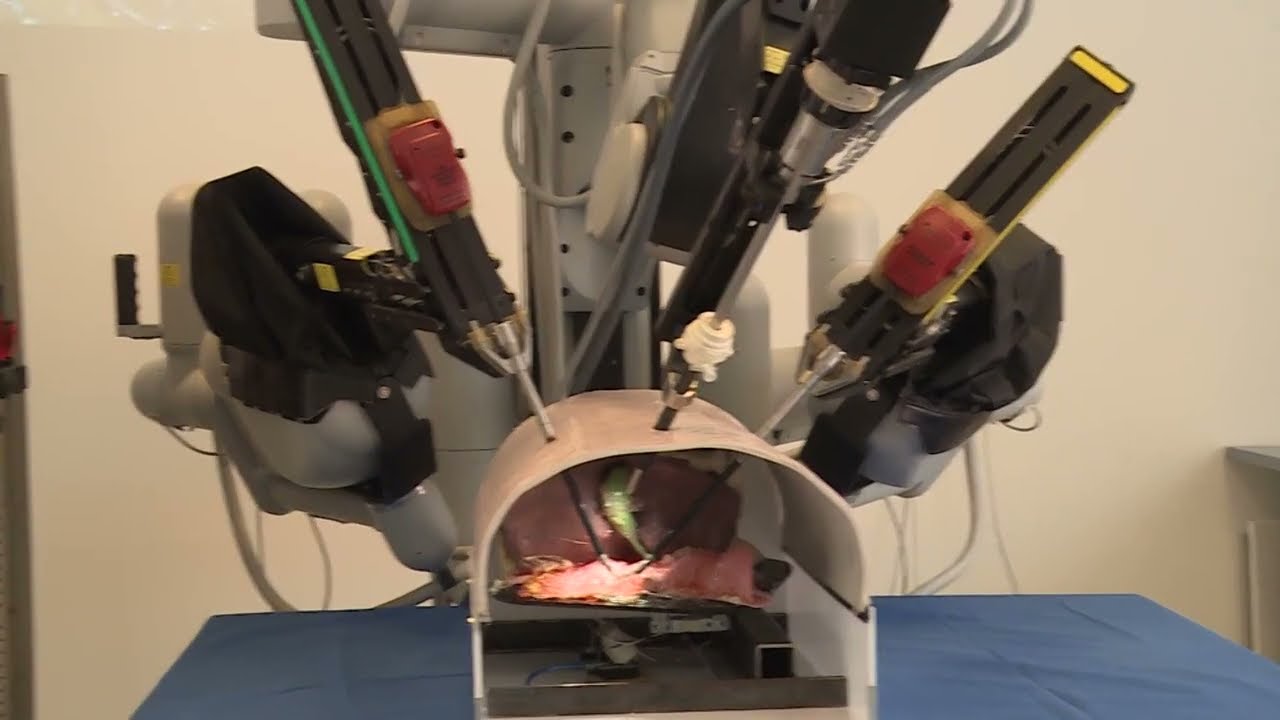 magyar tudomany napja nemzetkozi