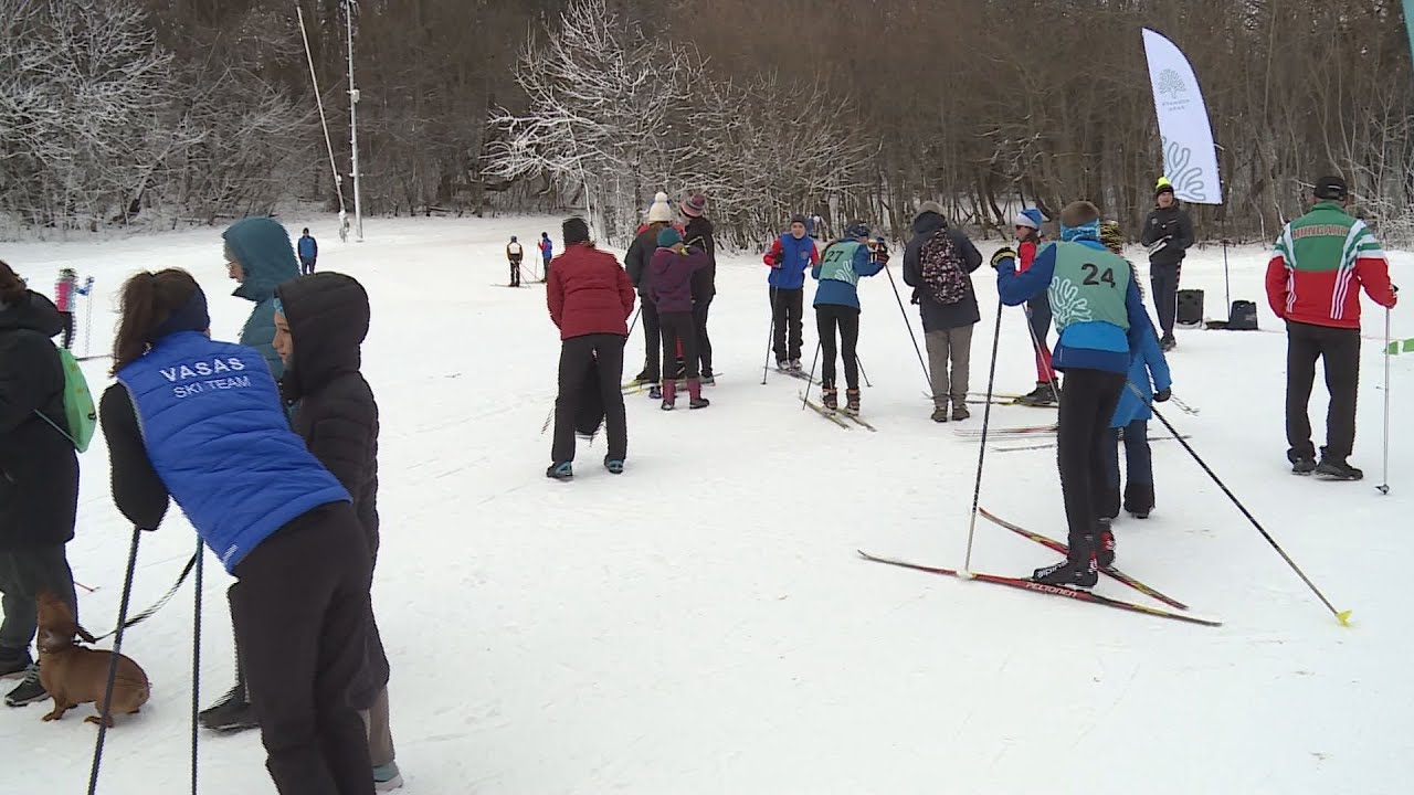normafa kupa amator sportolok sz