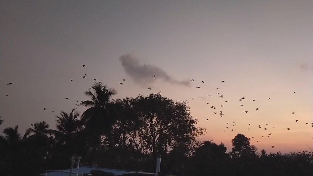 budai hirado 2025 aprilis 8