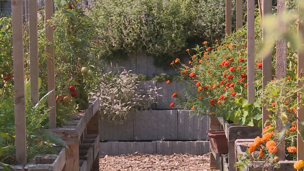 boszi kert a jovo meg bizonytala