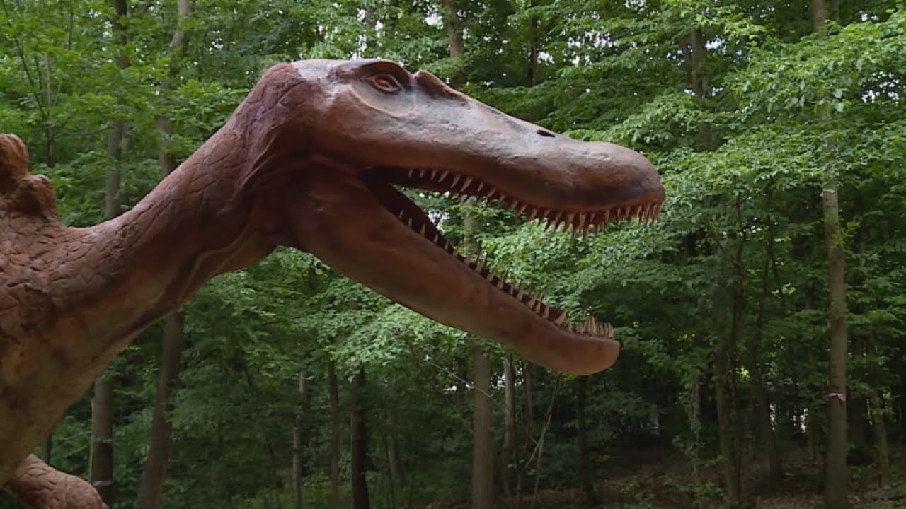 budai hirado 2025 majus 7