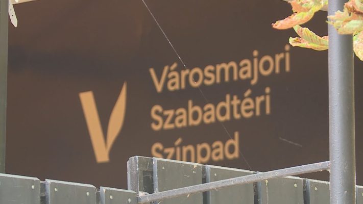 szarnyra kelt a szalonka a varos