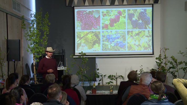 kommentar nelkul a mult a jelen