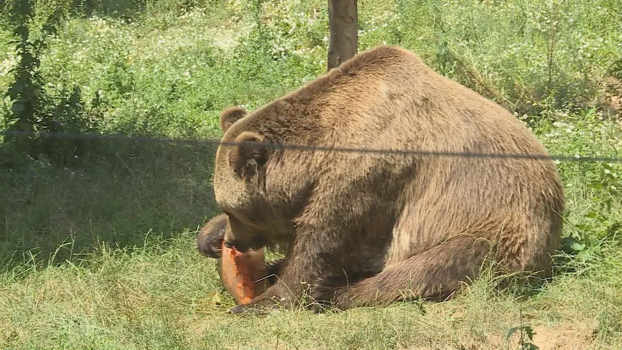 budai hirado 2025 julius 15