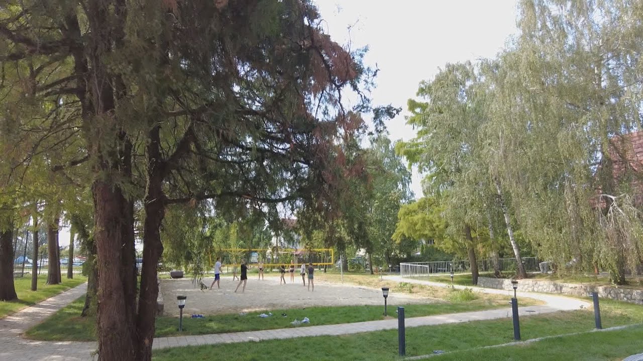 emelkednek a gyermeketkeztetes a