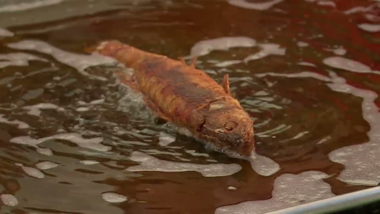 europai gasztrokultura