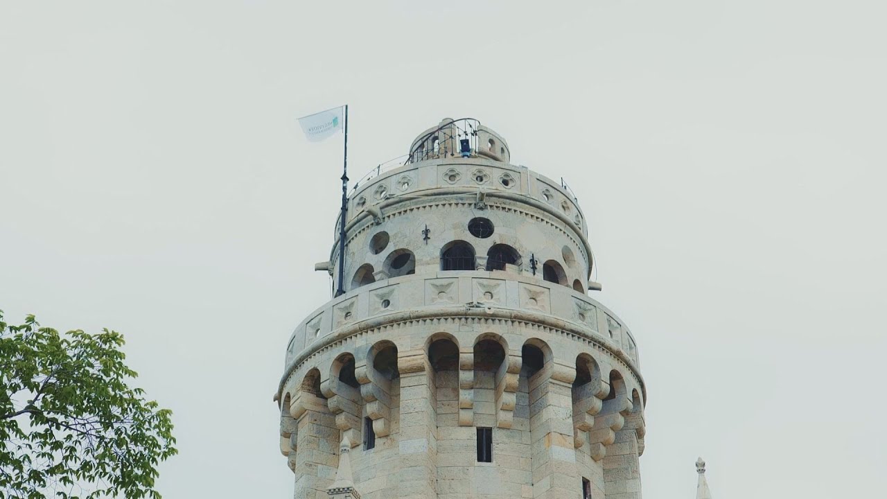 a kodolanyi egyetem kutatoi egy