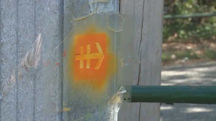 a magyar zarandokut keruleti sza