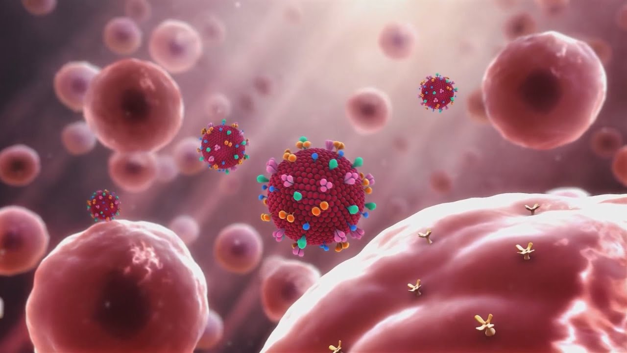 viruscsere indul az uj tanev uj