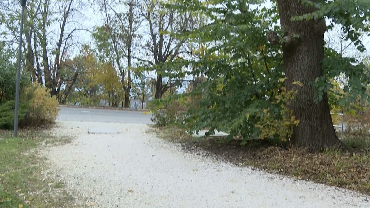 budai hirado 2025 oktober 28