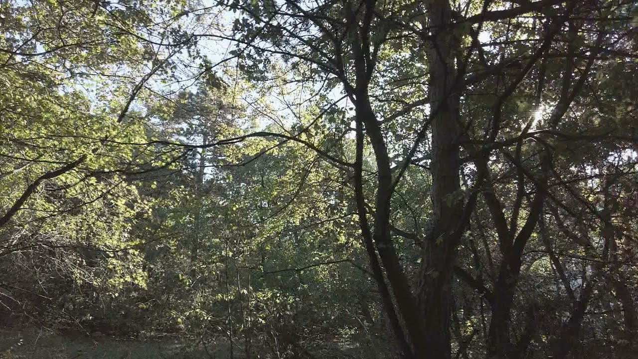 budai hirado 2025 oktober 6