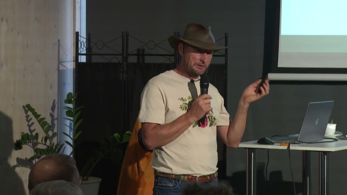 kommentar nelkul milyen gyumolcs