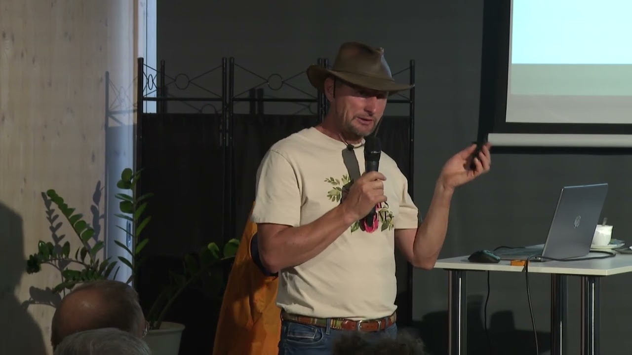 kommentar nelkul milyen gyumolcs