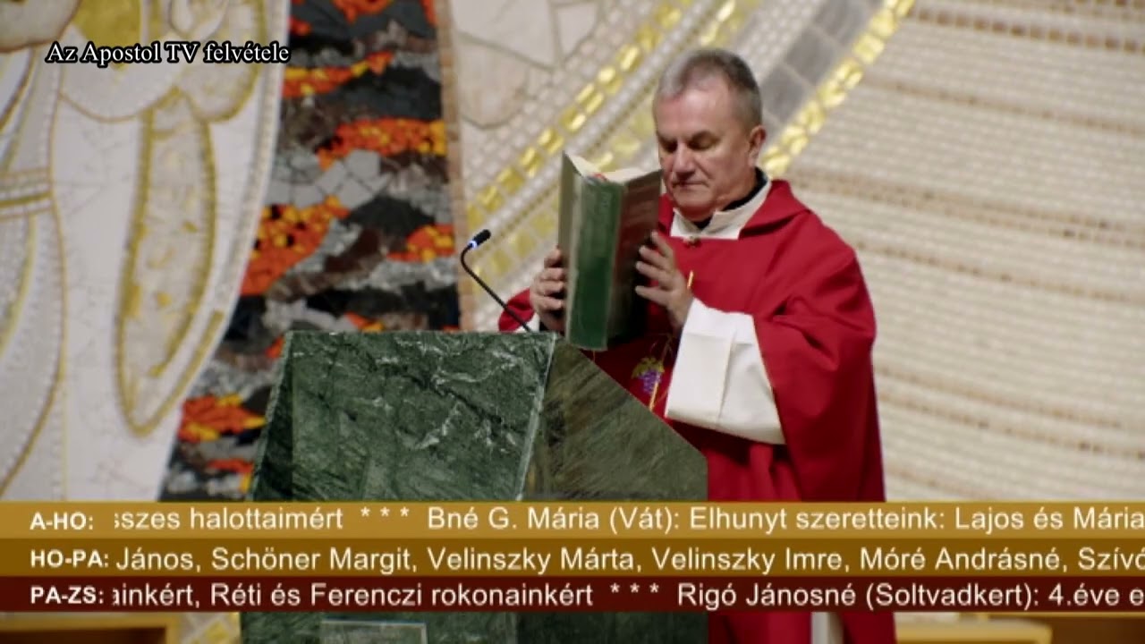 szentmise 2025 november 12