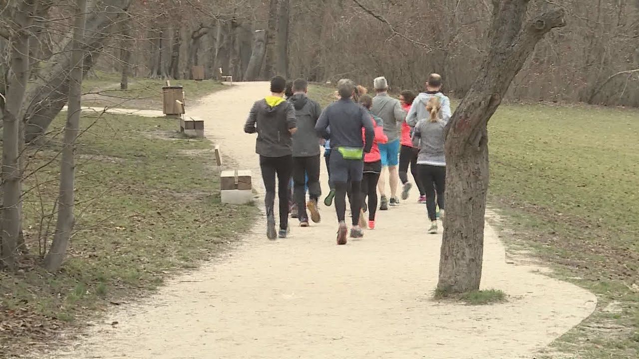mozdulj buda a program ingyenes